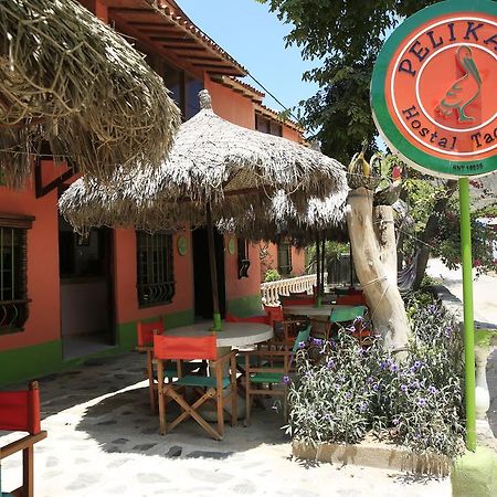 Hostal Pelikan Таганга Экстерьер фото